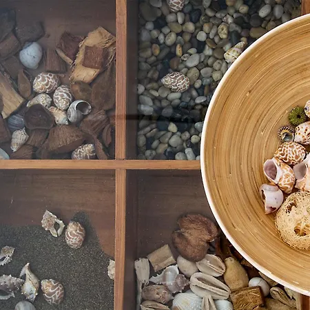 Apartman Caracolas Acogedor Espacioso Y Luminoso Cerca Del Mar